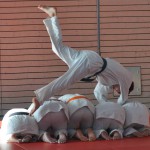 judorolle3