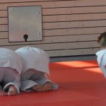 judorolle5